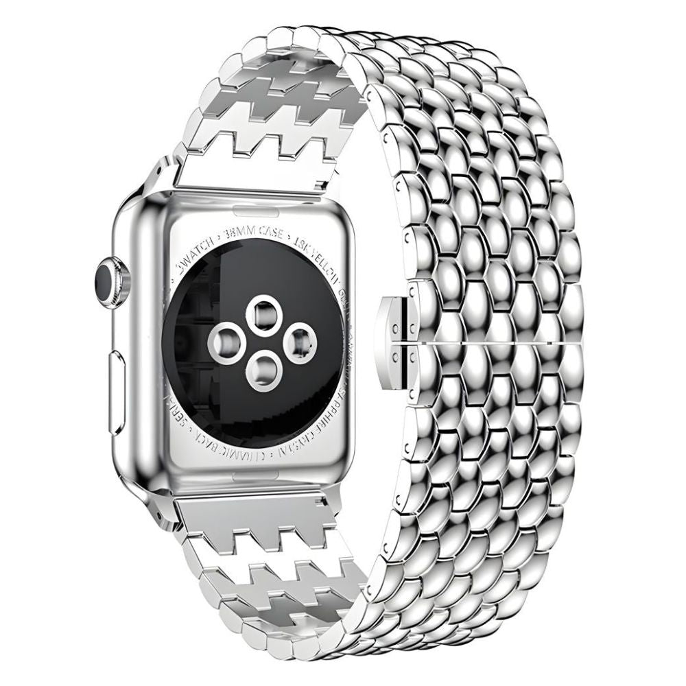 acer-stainless-steel-band-147587_1080x1080_crop_center