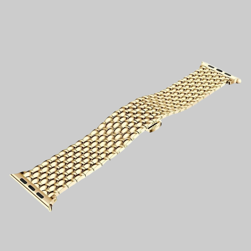 acer-stainless-steel-band-725251_1080x1080_crop_center