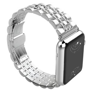 Sierra Stainless Steel Band + Case