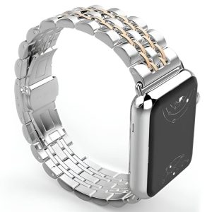 Sierra Stainless Steel Band + Case