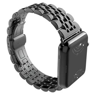 Sierra Stainless Steel Band + Case