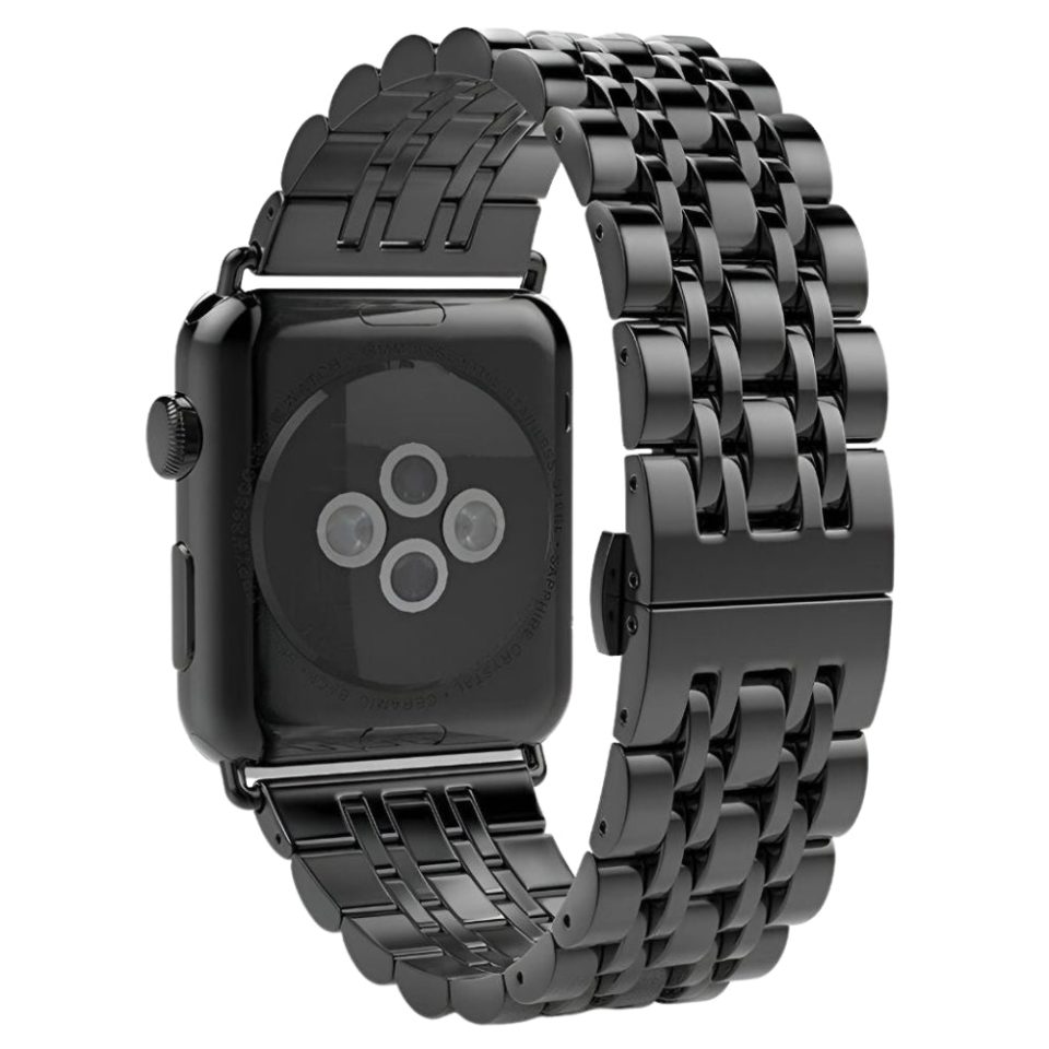 Sierra Stainless Steel Band + Case